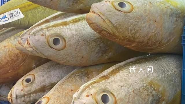 “大黄鱼抱枕”被炒到666元 引起了众多观众的注意和喜爱
