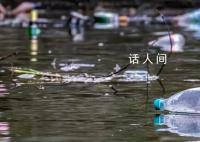 被不卫生的水泡过的饮料不要喝 被洪水泡过的饮料还可以喝吗