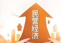 促民营经济发展壮大政策细则落地