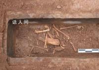 汉文帝霸陵殉葬坑发现神奇动物貘 皇家苑囿多数动物配有饲养员
