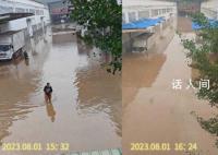 中图网:25年来遭遇的最具毁灭性打击