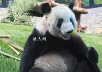 丫丫干饭名场面 一人一句祝丫丫生日快乐