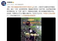 警犬强拽着民警找到密林中毒品 汪汪队又立大功
