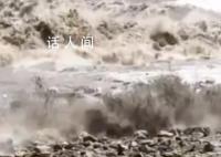 游客近距离观潮岸上人提醒快跑 两人仍淡定拍照