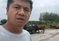 五常太惨了全被淹了,一起被淹三个乡镇,养牛户没地去了