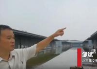 涿州洪灾中的伤心书商 多家出版机构库房被淹