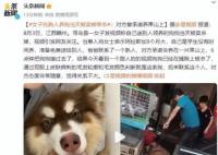 托熟人养狗当天被卖掉宰杀 引发了众多网友的关注和讨论