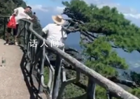 老人坐在悬崖边的迎客松上拍照 这一幕看得人胆战心惊
