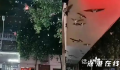 山东地震河南燕子满天飞?地震局回应