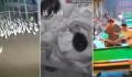 地震瞬间:鸭跑狗跳货架倒