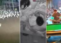 地震瞬间:鸭跑狗跳货架倒