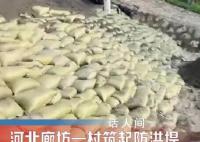 廊坊一村筑起防洪堤村内滴水未进 感谢先辈们留下了宝贵的护村堤