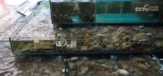 东海开渔 价格最高降四成