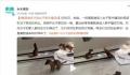 黄鼠狼多次闯入女子家中 引发了网友的热议