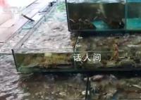 东海开渔 价格最高降四成