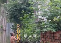 涿州养殖户:500多斤的猪被冲走