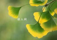 立秋不意味着入秋 立秋只预示着季节转换的开始