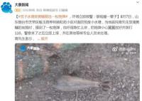 男子下池塘抓鱼摸出炮弹 吓得急忙上岸
