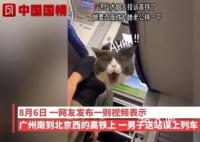 男子送站误上列车 妻子要求高铁停车