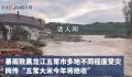 种植户称五常大米未达到绝收程度 担心绝收传言使五常大米滞销