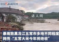 种植户称五常大米未达到绝收程度 担心绝收传言使五常大米滞销