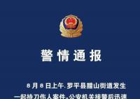 男子刺伤母亲逃窜后再伤8人 致2死