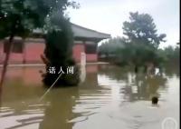 文保所长游泳进古寺查看泡水情况 视频引发舆论关注