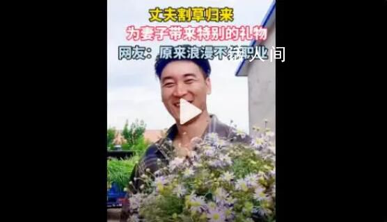 丈夫割草归来采一大把野花送妻子 浪漫的人总是会有意想不到的惊喜