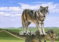 恐龙抗狼是什么梗 恐龙抗狼是什么意思