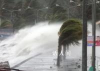 为什么今年的台风总往北方跑?为什么今年的台风危害特别大
