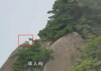 游客拍到珍稀云豹?专家:是大橘猫