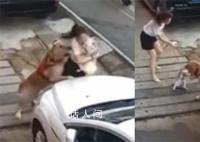 金毛未拴绳扑倒女子撕咬怀中小狗 一时间激起了众怒