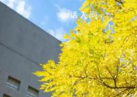 九月,大学见!