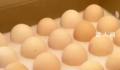 全国多地鸡蛋价格涨至5元以上 今年啥时候掉下五块了