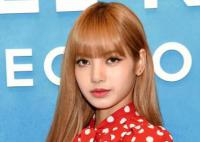 Lisa上了ins富豪榜 吸引了全球数亿的粉丝和关注者