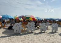 专家称北海伤人鱼类可能是海狼鱼 具体原因正在全力调查中