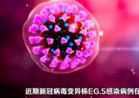广东佛山新冠EG.5逐渐占流行优势 新变异株是在共存状态下演变而来