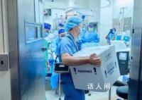 猪肾移植人体后成功撑过1个月 创造了基因编辑猪肾脏在人体内工作的新纪录