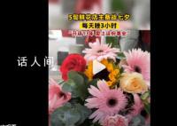 花店老板备战七夕每天只睡3小时 开店13年爱上这份事业