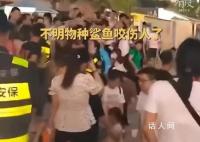 科普博主谈北海咬伤游客事件 可能是海鳝或海鳗