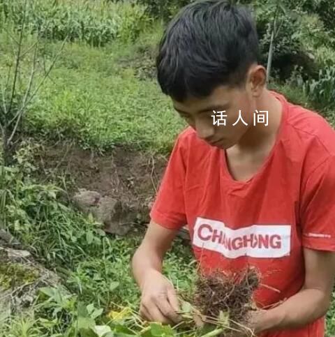 木乃约热高考分是多少 木乃约热多少分