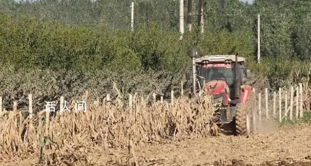 复耕补种进行时 众志成城防汛救灾