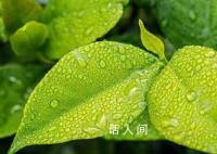 今日出伏 雨已在路上