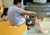 关于爱情真相的对话 爱情故事对话形式