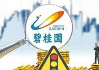 碧桂园账面资金仅能满足保交楼 前期结算款的支付可能还要靠后市销售