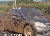 小车被运粪车追尾灌一车粪便 目前保险公司还没定损