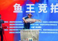 “鱼王”拍出30万 买家当场放生