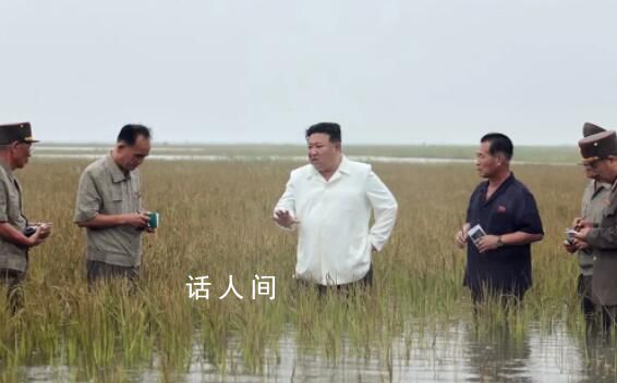 金正恩半身踩进稻田视察救灾重建 点名批内阁总理金德训