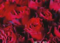 你有七夕搭子了吗 8月22日是七夕情人节