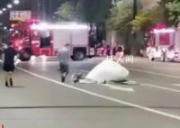 洛阳白色不物体系农用氯化铵 并非危险物品